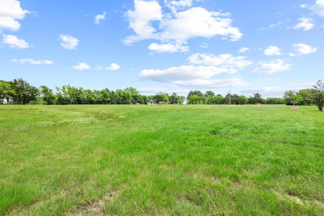 531 Eisenhower Rd, Denison, TX 75020 - view of local wilderness with rural landscape