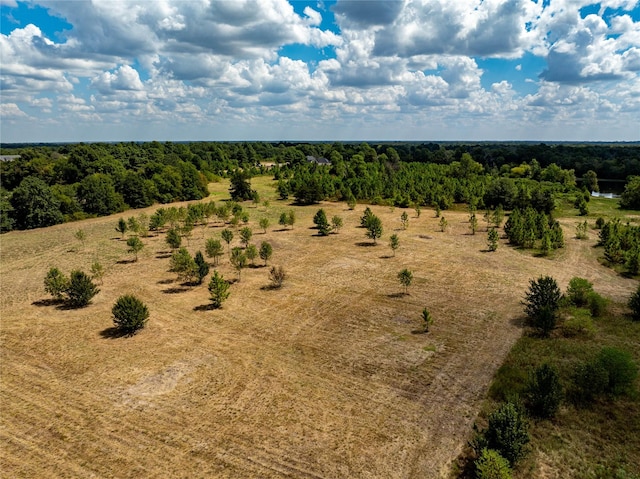LOTS7 NE 36th St, Paris, TX 75462