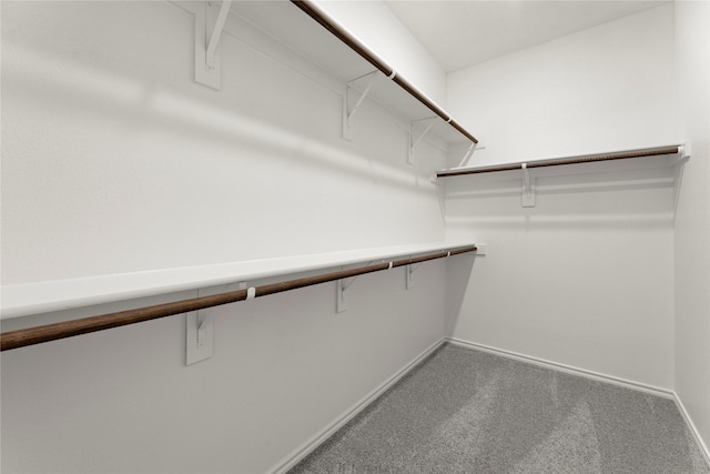 1705 Teton Riv, Blue Ridge, TX 75424 - walk in closet with carpet flooring