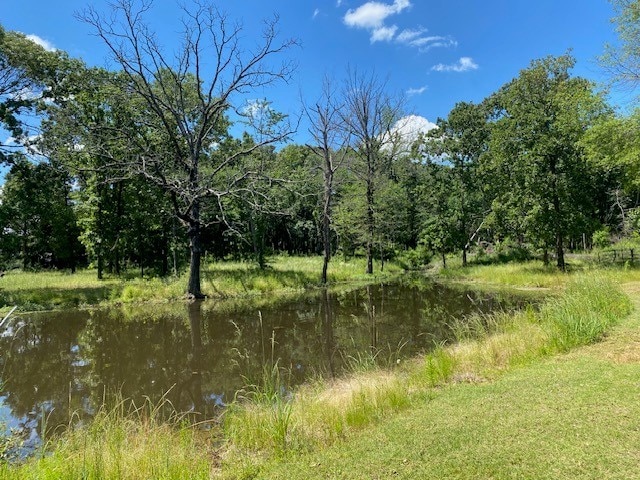 610 Old Tyler Hwy, Athens, TX 75751 - view of nature with a nearby body of water