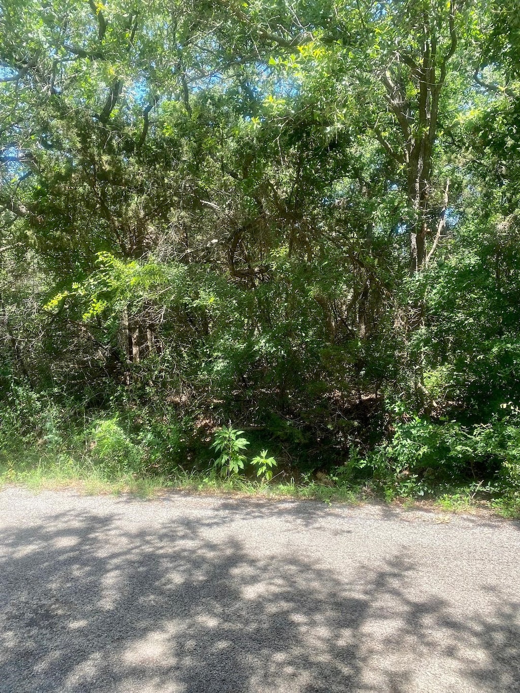 2922 Cedarbrush St, Granbury, TX 76048