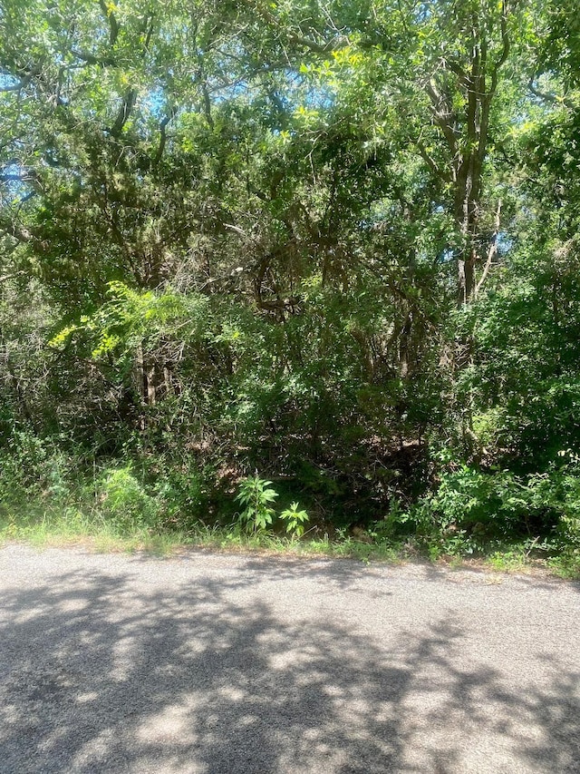 2922 Cedarbrush St, Granbury, TX 76048