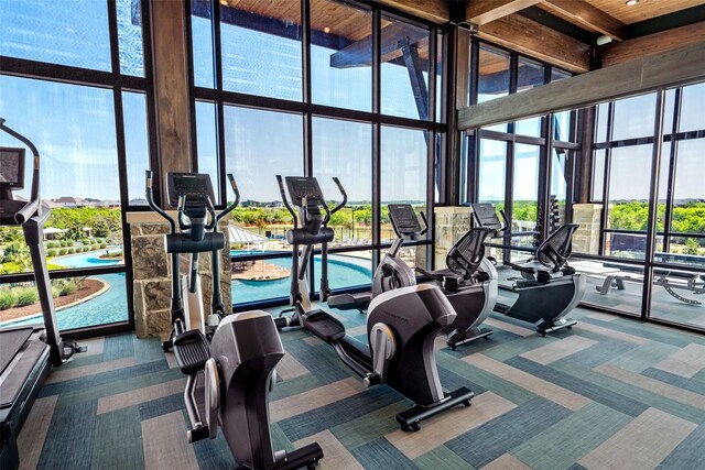 2434 Solomons Pl, Wylie, TX 75098 - exercise room featuring floor to ceiling windows, a towering ceiling, and carpet
