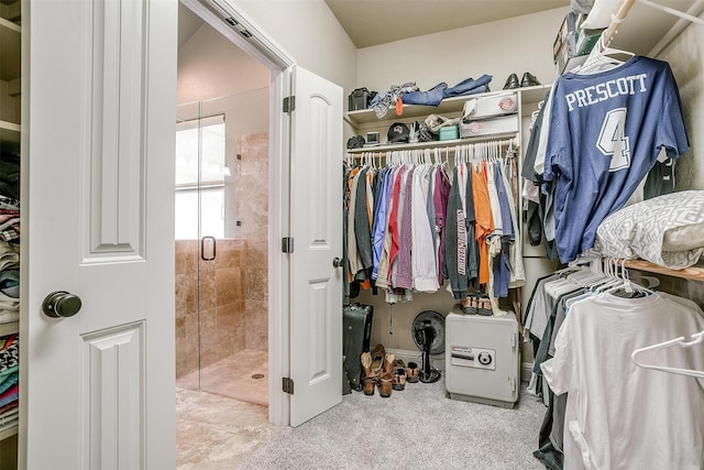 9001 Magnolia Vale Dr, Granbury, TX 76049 - view of walk in closet