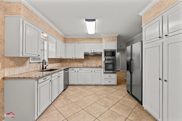 kitchen featuring appliances with stainless steel finishes, under cabinet range hood, ornamental molding, a sink, and decorative backsplash