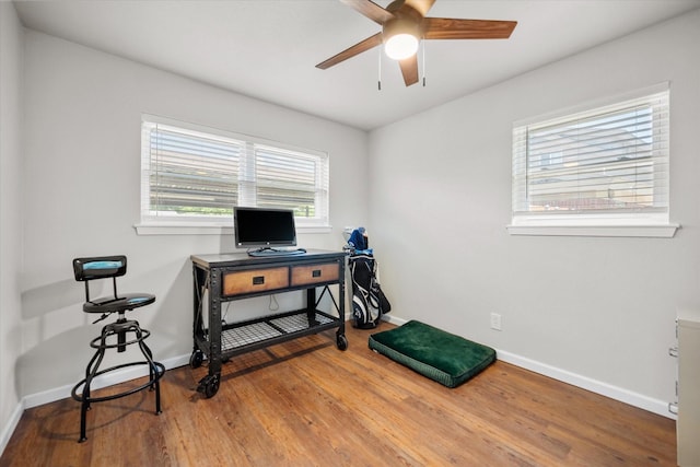 332 Thompson Dr, Saginaw, TX 76179 - home office featuring plenty of natural light, wood finished floors, and baseboards