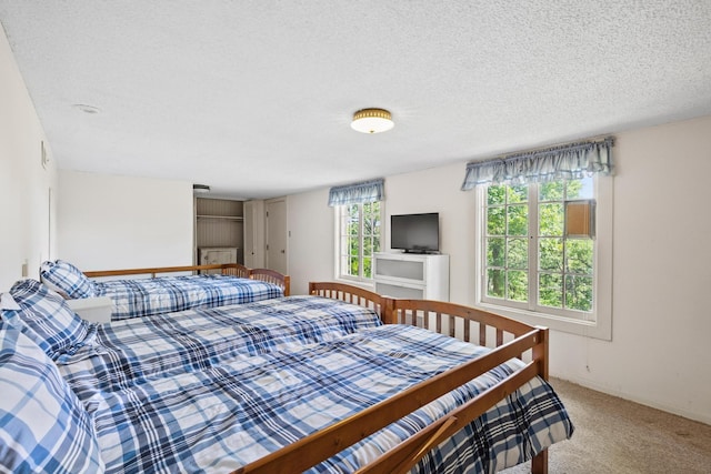 219 Ray Rd, Pottsboro, TX 75076 - carpeted bedroom featuring a textured ceiling and baseboards