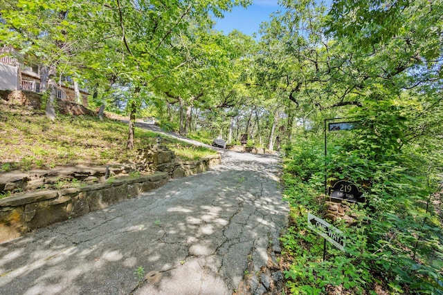 219 Ray Rd, Pottsboro, TX 75076 - view of property's community