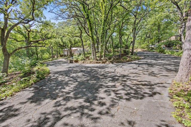 219 Ray Rd, Pottsboro, TX 75076 - view of asphalt driveway