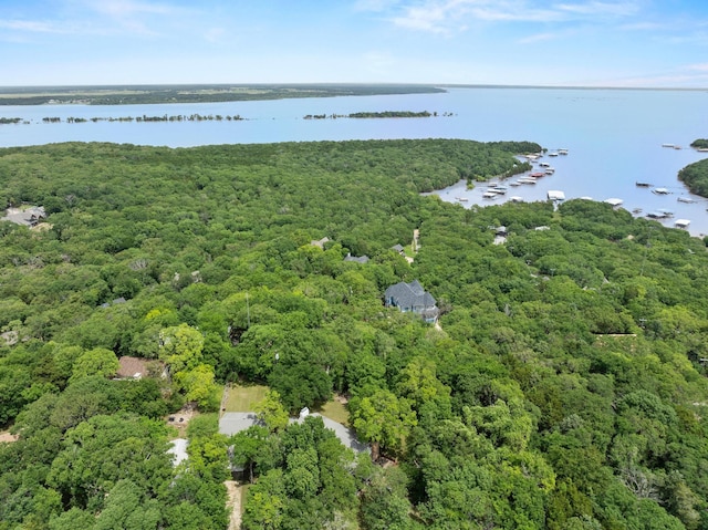 219 Ray Rd, Pottsboro, TX 75076 - aerial view of a nearby body of water and a heavily wooded area