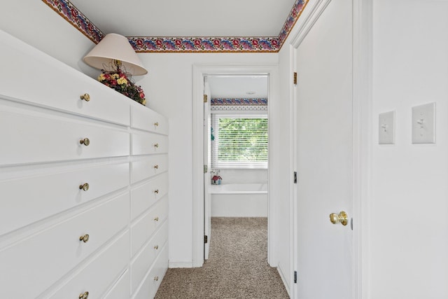 219 Ray Rd, Pottsboro, TX 75076 - corridor featuring light colored carpet