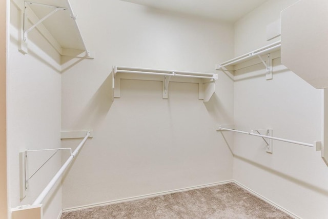 7500 Lazy Spur Blvd, Fort Worth, TX 76131 - walk in closet with carpet floors