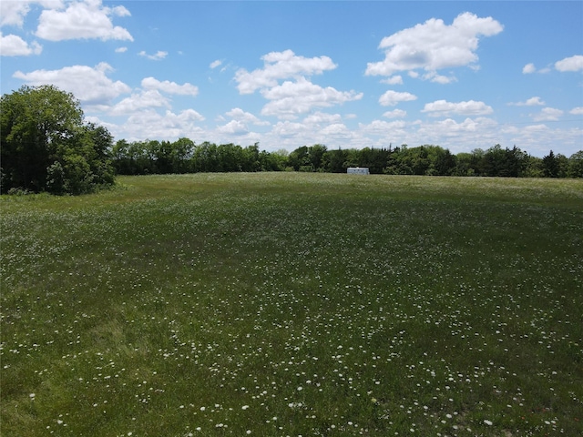 TBD County Road 2975, Dodd City, TX 75438