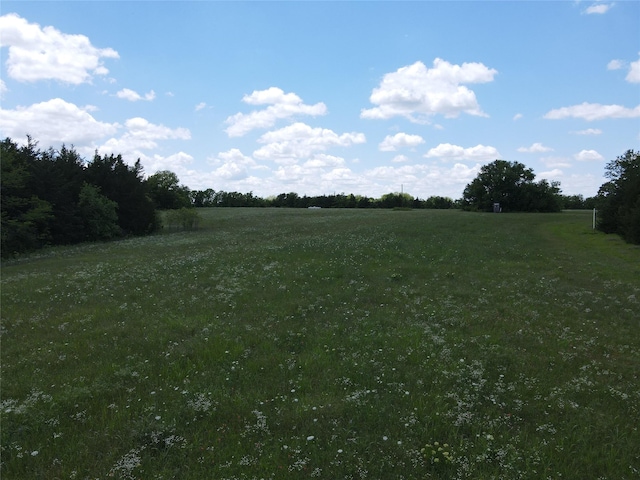 TBD County Road 2975, Dodd City, TX 75438