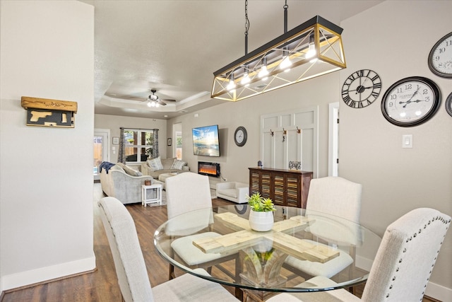 2610 Austin Dr, Granbury, TX 76048 - dining space featuring dark wood-style floors, a tray ceiling, and baseboards