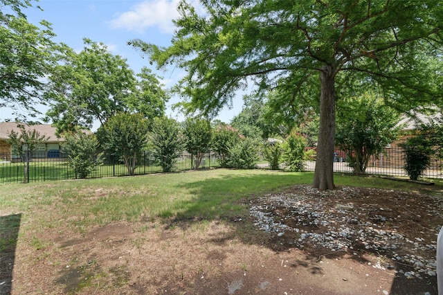 805 Sandpiper Dr, Denton, TX 76205 - view of yard