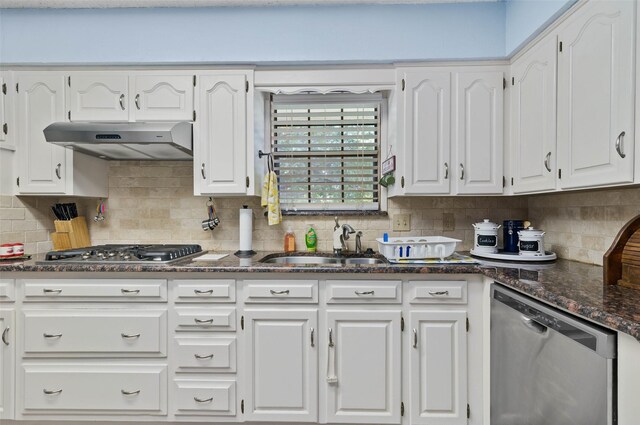 805 Sandpiper Dr, Denton, TX 76205 - kitchen featuring stainless steel appliances, under cabinet range hood, a sink, white cabinetry, and backsplash