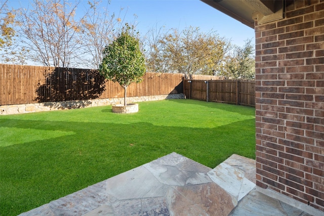 609 Racine Dr, Oak Point, TX 75068 - view of yard featuring a patio
