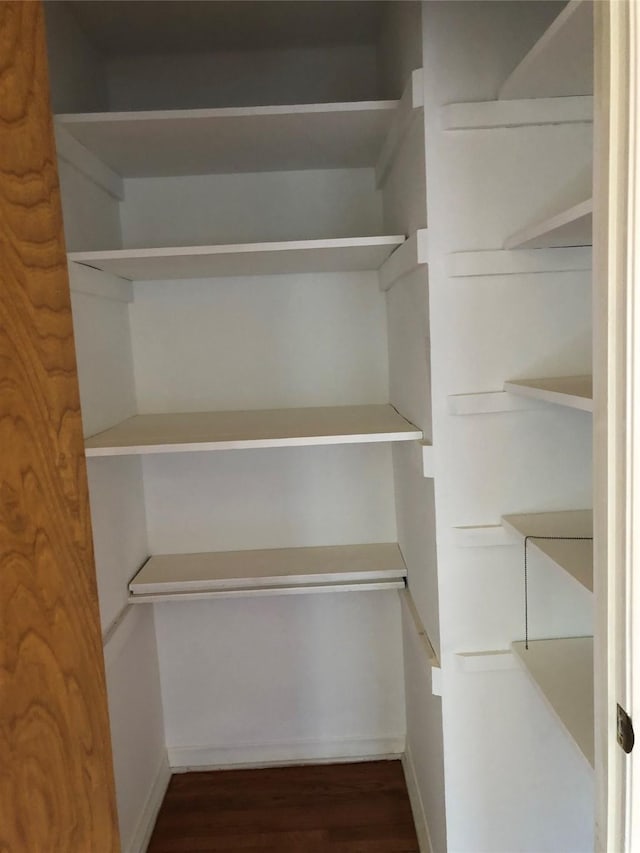 608 Spinner Rd, Desoto, TX 75115 - view of closet