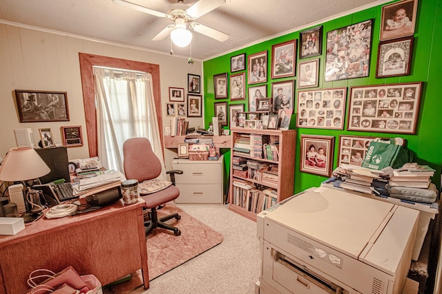 12815 N Fm 219, Dublin, TX 76446 - carpeted office featuring ceiling fan and crown molding