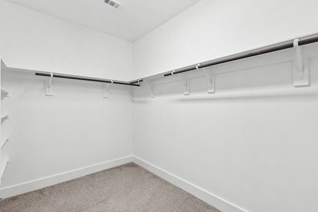 5408 Fairdale Dr, Denton, TX 76207 - spacious closet with light carpet