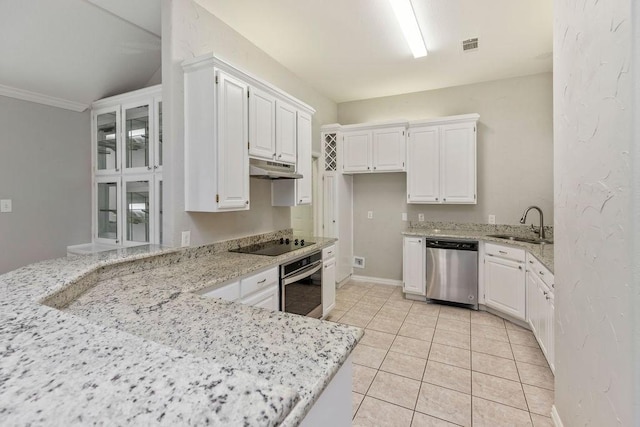 1501 Milla Ct, Euless, TX 76039 - kitchen with appliances with stainless steel finishes, under cabinet range hood, a sink, white cabinetry, and ornamental molding