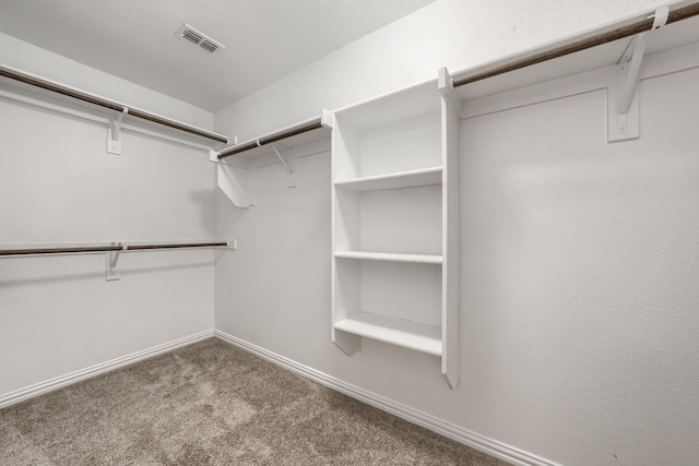1316 Renoir Dr, Little Elm, TX 75068 - spacious closet featuring carpet flooring
