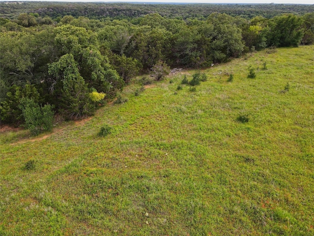 29 Big Bend Rd, Mineral Wells, TX 76067