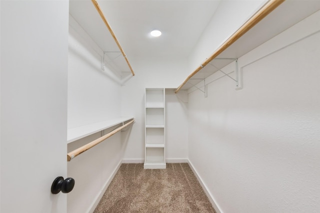 3011 Sunnybrook Ln, Arlington, TX 76014 - walk in closet featuring carpet flooring