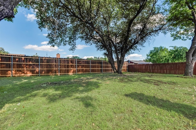 3011 Sunnybrook Ln, Arlington, TX 76014 - view of yard