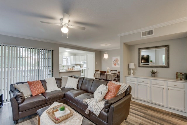 15151 Berry Trl Unit 401, Dallas, TX 75248 - living area featuring ornamental molding, light wood-style flooring, and ceiling fan