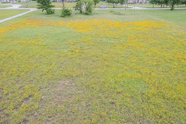 117 Old Decatur Rd, Decatur, TX 76234