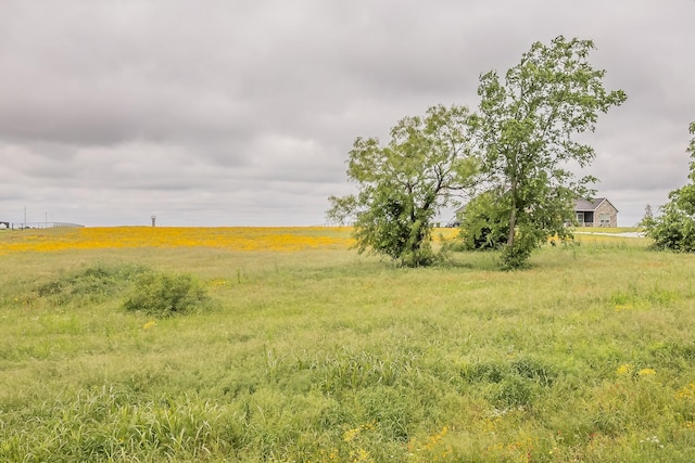 117 Old Decatur Rd, Decatur, TX 76234