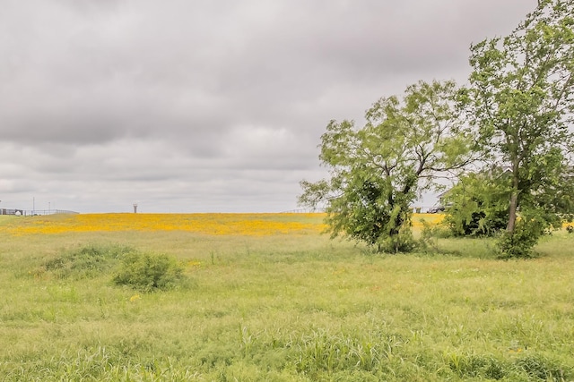 117 Old Decatur Rd, Decatur, TX 76234