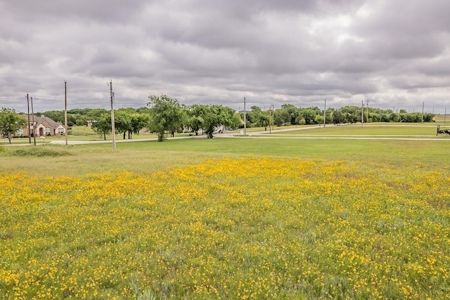 117 Old Decatur Rd, Decatur, TX 76234