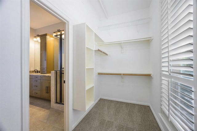 11212 Sunrise Ln, Frisco, TX 75035 - view of spacious closet
