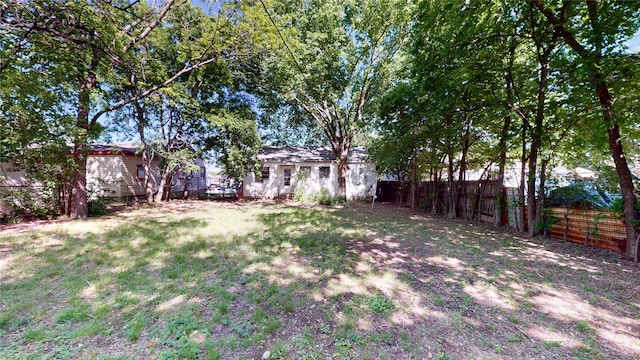 3243 Arizona Ave, Dallas, TX 75216 - view of yard