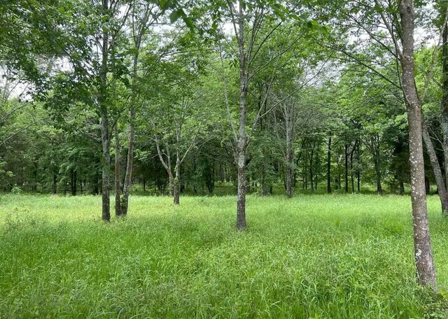 7375 Open Water Pt, Quinlan, TX 75474