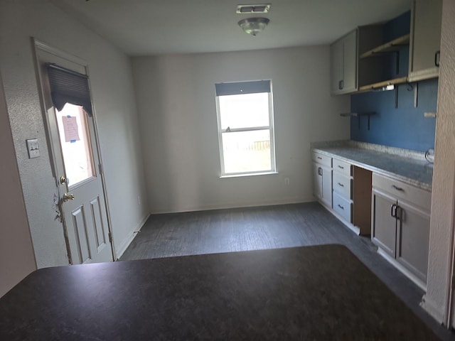 1322 Lucchese Ln, Dallas, TX 75253 - kitchen with open shelves, dark wood finished floors, and baseboards