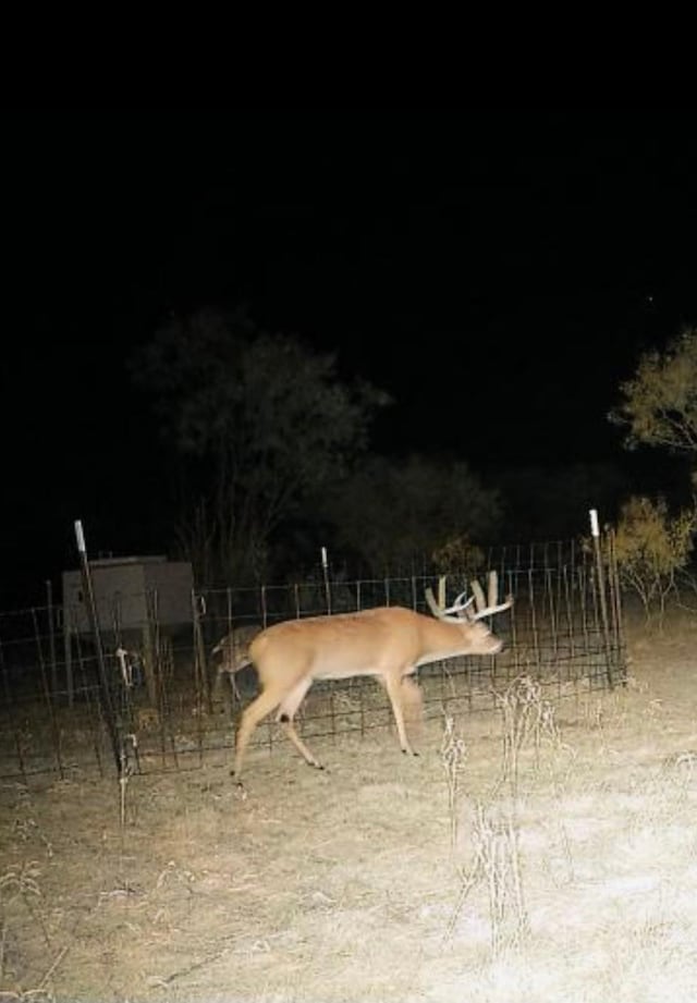 000 Shepard Ln, Graham, TX 76450