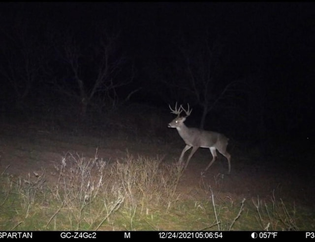 000 Shepard Ln, Graham, TX 76450