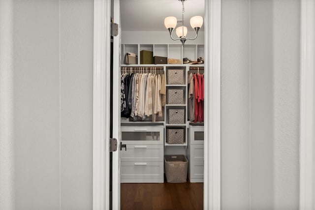 7608 White Fawn Rd, Arlington, TX 76002 - view of closet