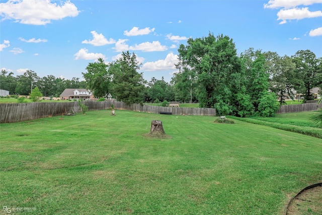 561 Linton Rd, Benton, LA 71006 - view of yard