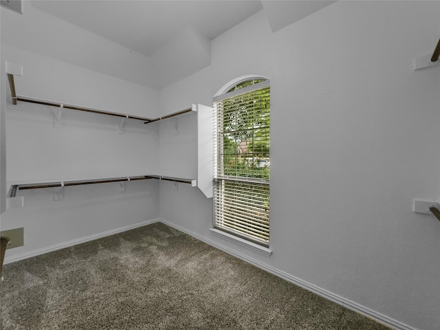5143 Pond Bluff Way, Fairview, TX 75069 - walk in closet with dark colored carpet