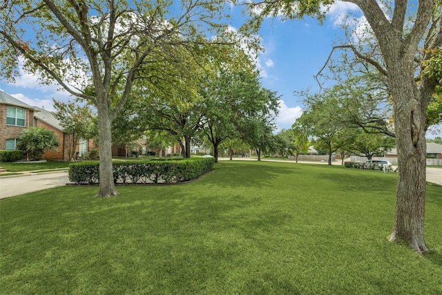 7816 Hardwick Ct, Plano, TX 75025 - view of grassy yard