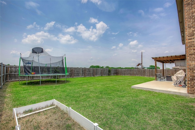 708 Savanna Dr, Josephine, TX 75173 - view of yard with a patio, a trampoline, and a garden