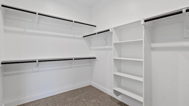 8721 Leafy Ln, Justin, TX 76247 - walk in closet with dark carpet