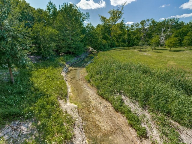 13026 Brook Ridge Dr, Frisco, TX 75035 - view of local wilderness