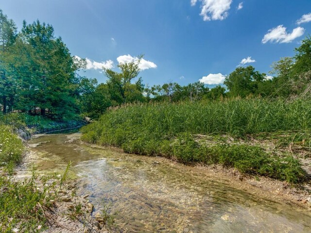 13026 Brook Ridge Dr, Frisco, TX 75035 - view of nature