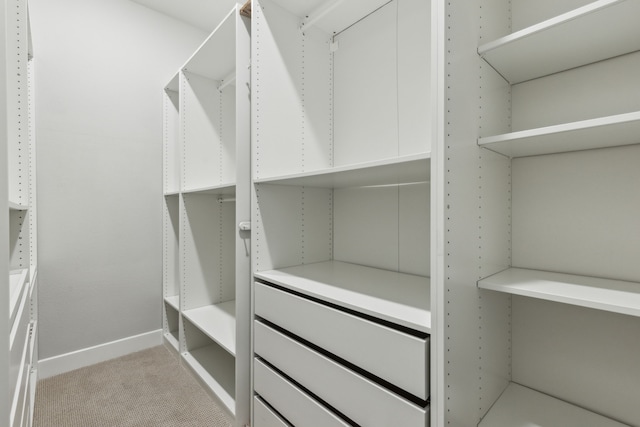 2921 Citation Rd, Celina, TX 75009 - walk in closet with light colored carpet